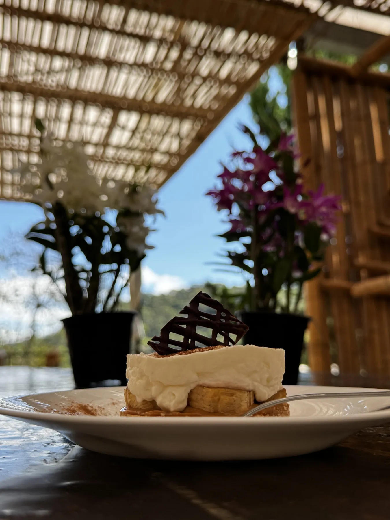 Fatia de bolo com creme e lâmina de chocolate no prato, orquídeas e a Serra da Mantiqueira ao fundo