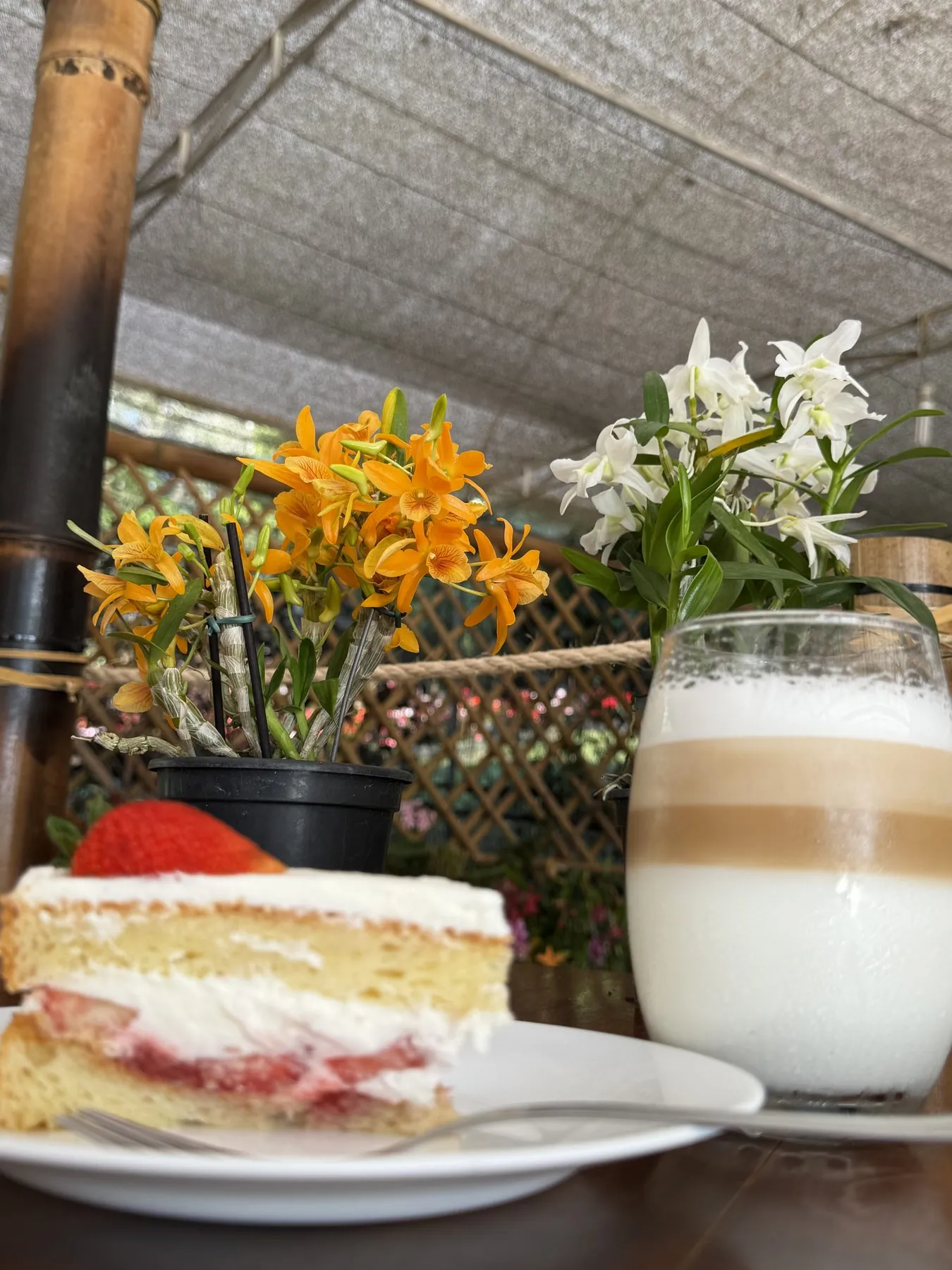 Mesa da estufa entre orquídeas, com bolo e café
